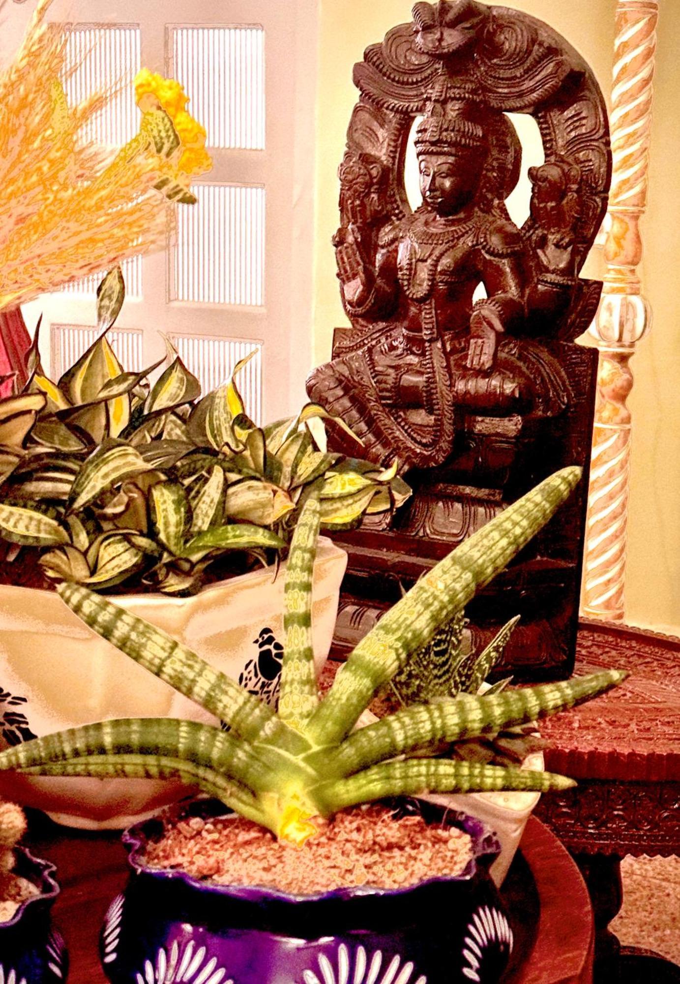 Vraj Vilas Vrindāvan 外观 照片